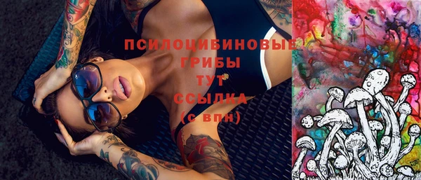 тгк Лиски