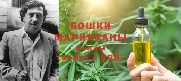 тгк Лиски